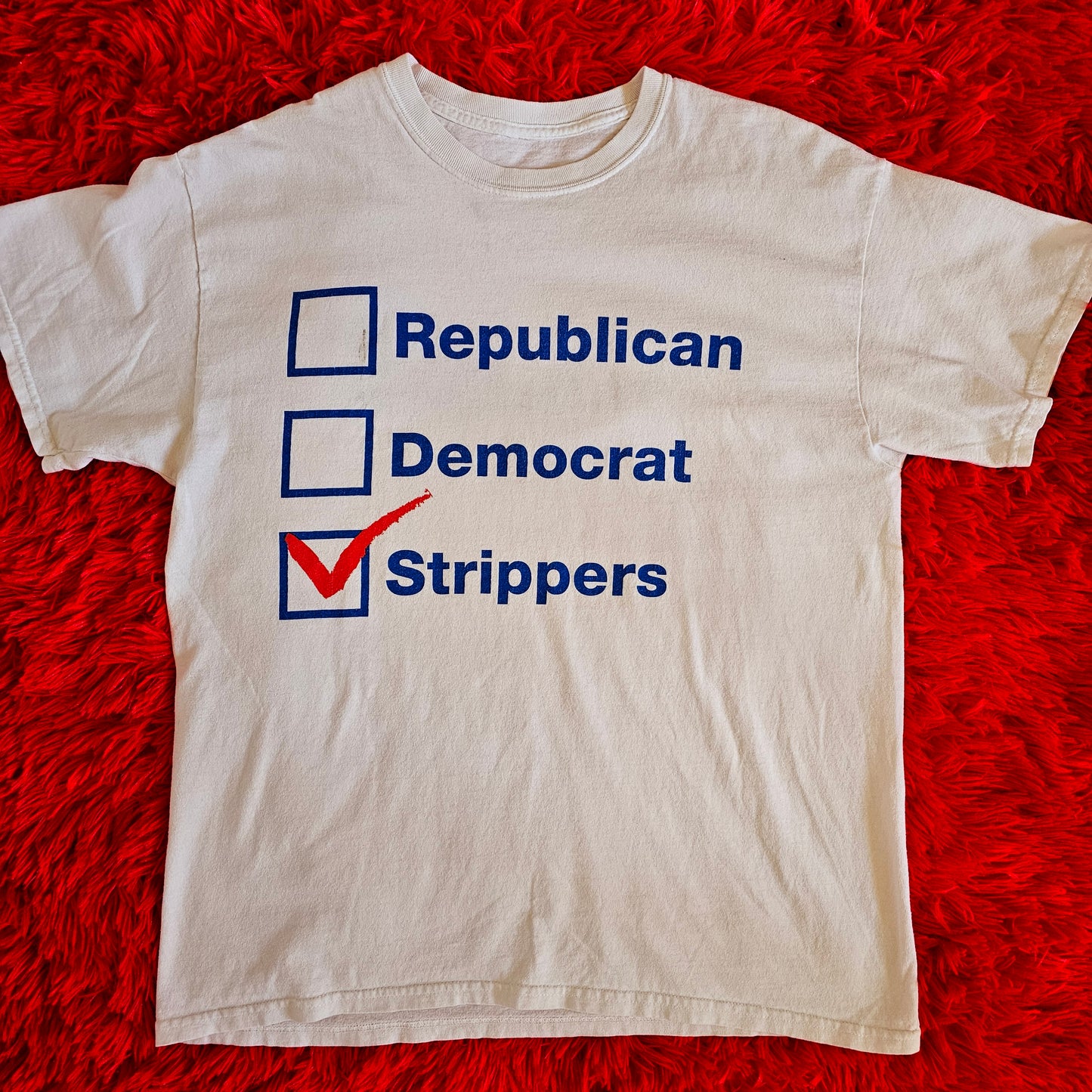 Y2K Vote for Strippers T-Shirt (Womens L/Mens M)